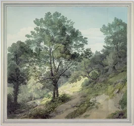 Blick nahe Cantonteign, Devon